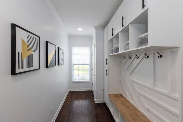 mudroom featuring crown molding and dark wood-type flooring