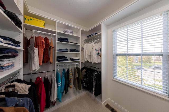 spacious closet featuring carpet flooring