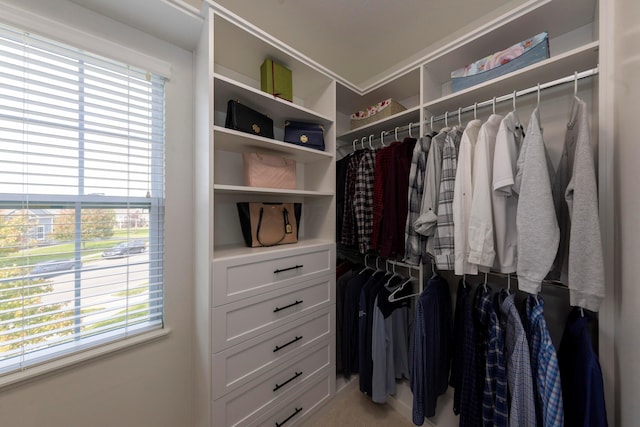 view of spacious closet