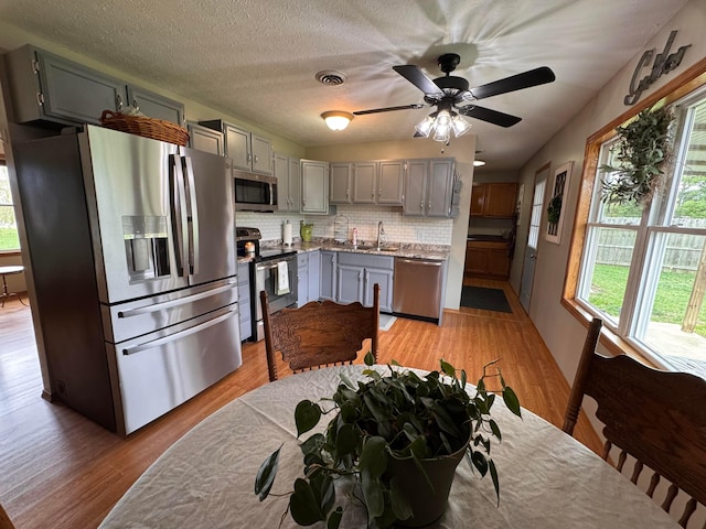 kitchen featuring gray cabinetry, sink, stainless steel appliances, tasteful backsplash, and light hardwood / wood-style flooring