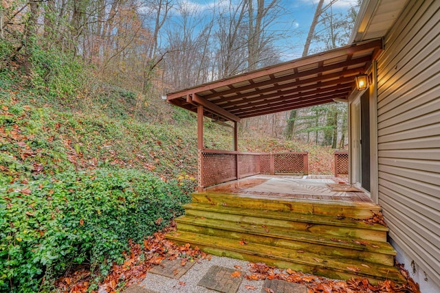 view of wooden terrace