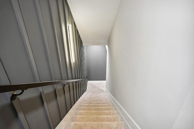 stairway with carpet floors