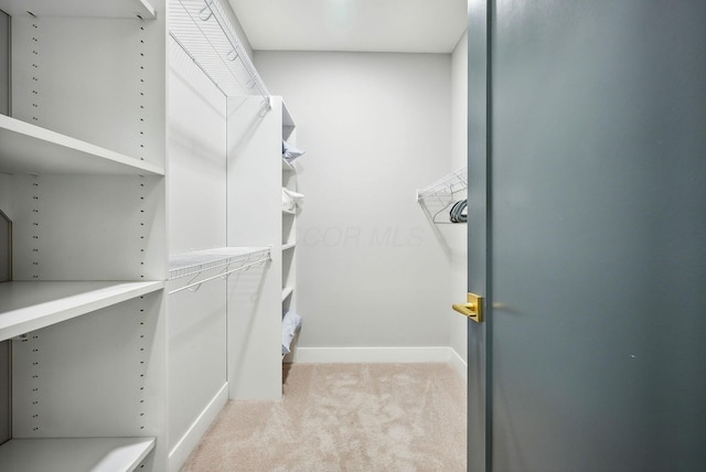 walk in closet featuring light colored carpet