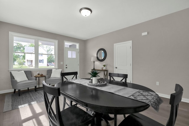 dining room with hardwood / wood-style floors