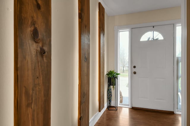 entrance foyer featuring dark wood-type flooring