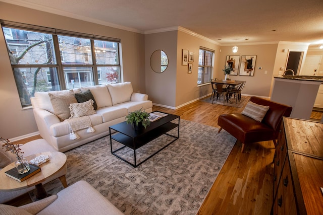 39 Buttles Ave Unit 39, Columbus, OH 43215 - living room with wood finished floors and ornamental molding