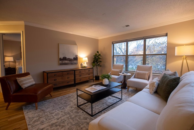 living room featuring crown molding, wood-type flooring, and a textured ceiling