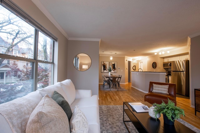 living room featuring crown molding and light hardwood / wood-style floors