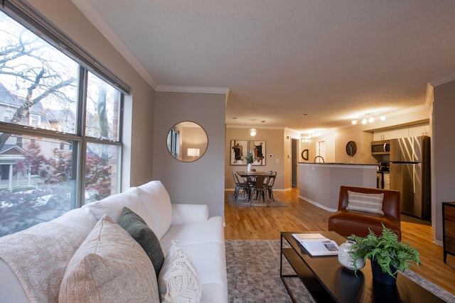 39 Buttles Ave Unit 39, Columbus, OH 43215 - living area with light wood-type flooring and ornamental molding