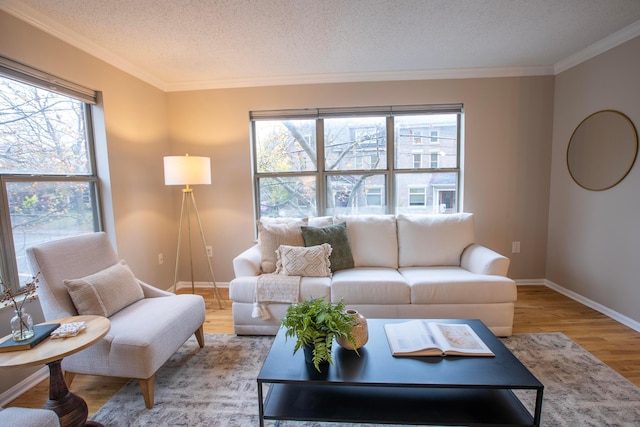 39 Buttles Ave Unit 39, Columbus, OH 43215 - living room with a textured ceiling, wood finished floors, healthy amount of natural light, and ornamental molding