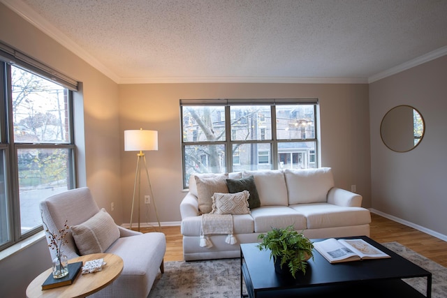 living room featuring ornamental molding, hardwood / wood-style floors, and a textured ceiling