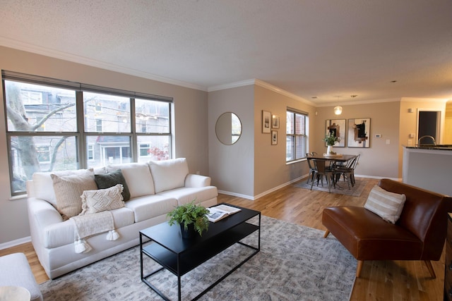 39 Buttles Ave Unit 39, Columbus, OH 43215 - living room with light wood finished floors, healthy amount of natural light, and crown molding