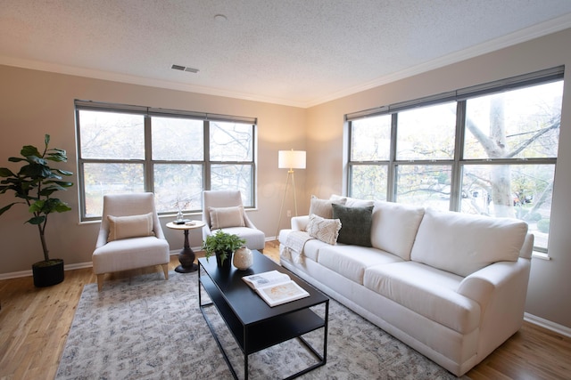 living room featuring crown molding, hardwood / wood-style floors, and a textured ceiling