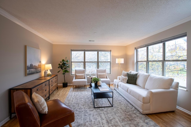 living room featuring crown molding, a textured ceiling, and light wood-type flooring