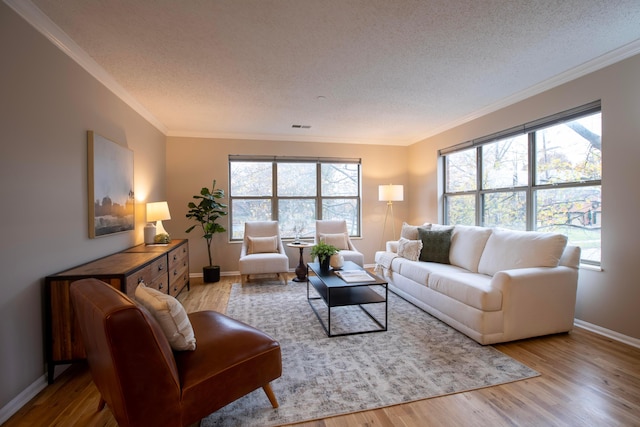 living room featuring crown molding, light hardwood / wood-style floors, and a textured ceiling