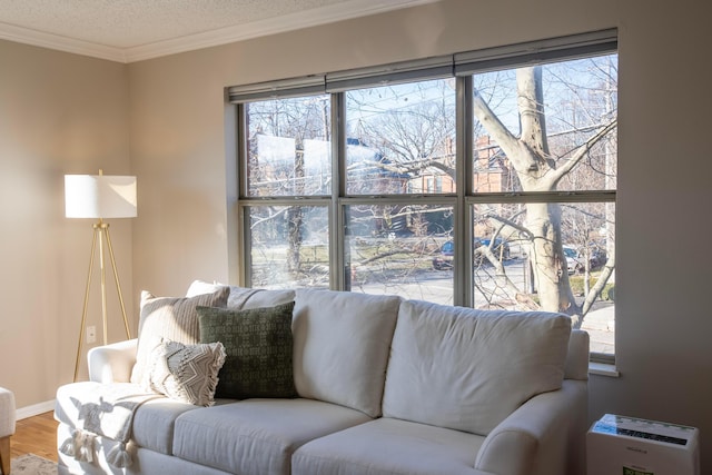 living room with crown molding, hardwood / wood-style floors, and a textured ceiling