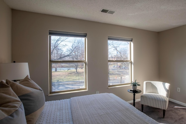 carpeted bedroom with a textured ceiling