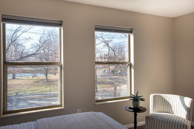 bedroom with a textured ceiling