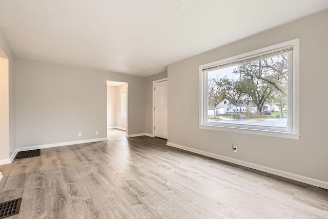 empty room featuring a wealth of natural light and light hardwood / wood-style flooring