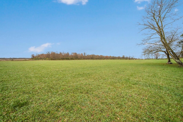 view of yard featuring a rural view