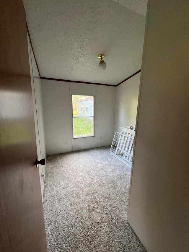 carpeted empty room featuring a textured ceiling