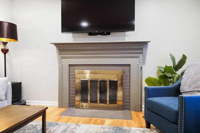 room details featuring a fireplace and hardwood / wood-style floors