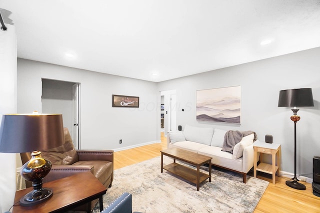 living room featuring hardwood / wood-style flooring