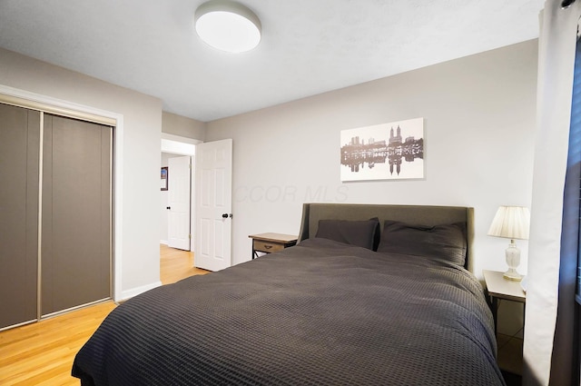 bedroom featuring wood-type flooring and a closet