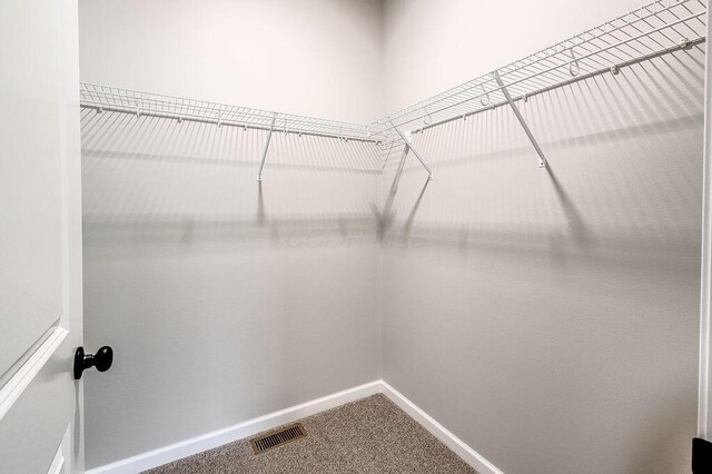 spacious closet featuring visible vents and carpet floors