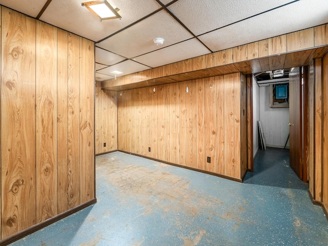 basement with wooden walls