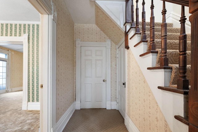 staircase featuring carpet flooring