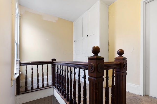 staircase featuring carpet flooring