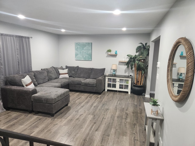 living room featuring hardwood / wood-style floors