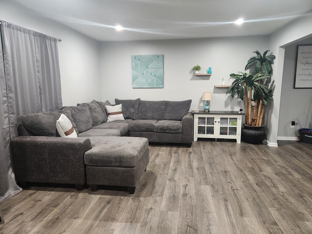 living room with hardwood / wood-style floors