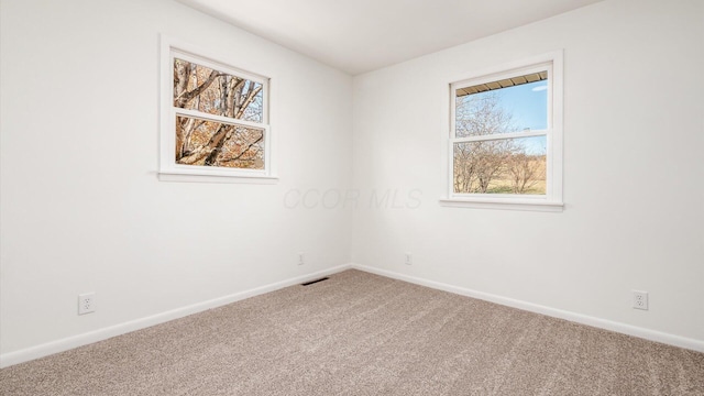 empty room featuring carpet and plenty of natural light