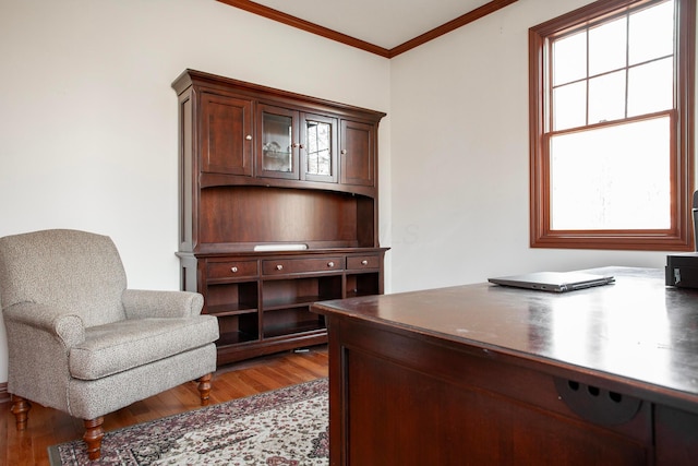 office space featuring a healthy amount of sunlight, wood-type flooring, and crown molding