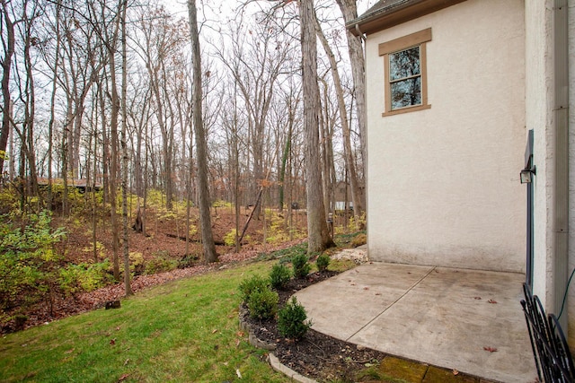 view of yard featuring a patio