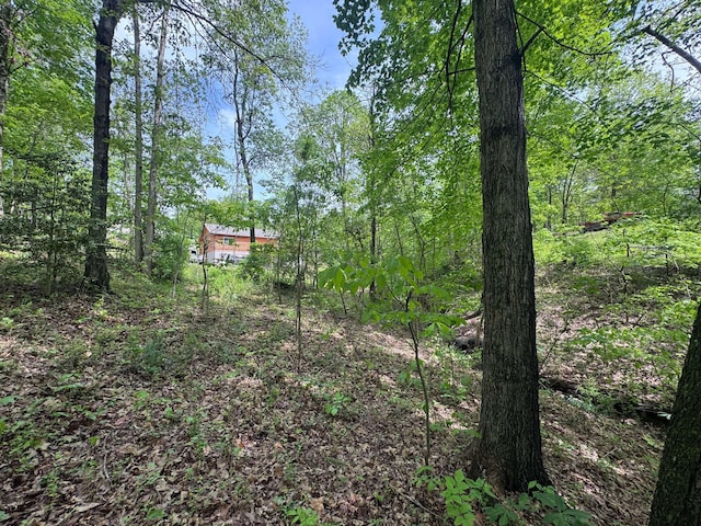 316 Ridgewood Blvd, Belpre, OH 45714 - view of woods