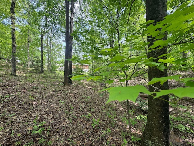 316 Ridgewood Blvd, Belpre, OH 45714 - view of undeveloped land