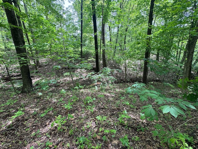 316 Ridgewood Blvd, Belpre, OH 45714 - view of tree filled area