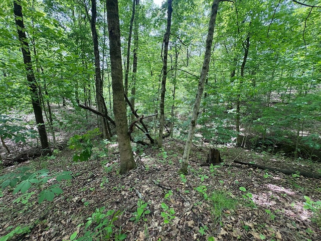 316 Ridgewood Blvd, Belpre, OH 45714 - view of woods