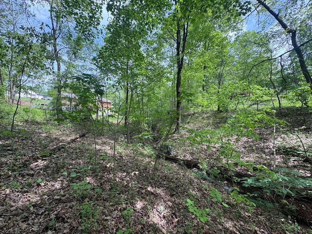 316 Ridgewood Blvd, Belpre, OH 45714 - view of undeveloped land
