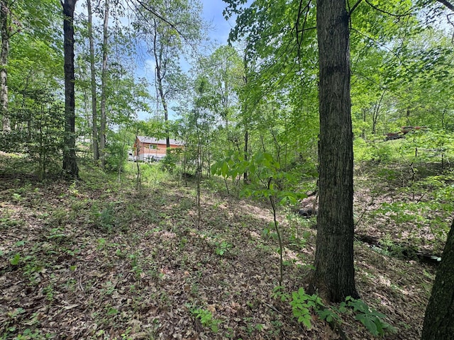316 Ridgewood Blvd, Belpre, OH 45714 - view of yard with a wooded view