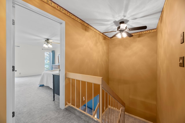 staircase featuring ceiling fan and carpet floors