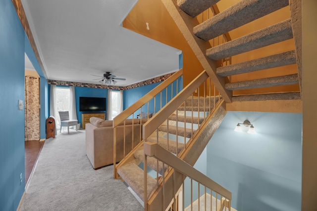 stairway with carpet and ceiling fan