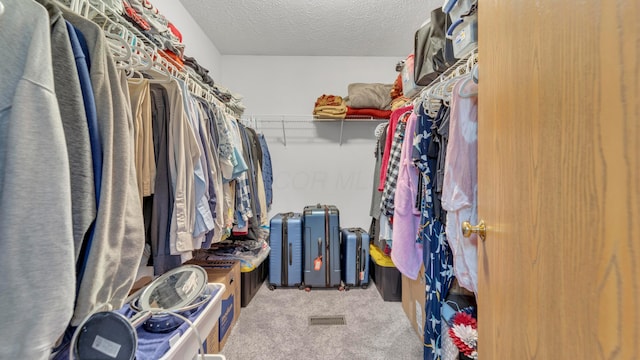 spacious closet with light colored carpet