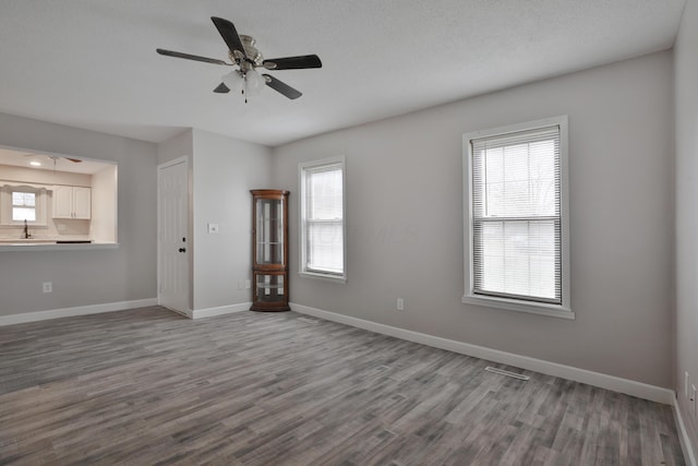 unfurnished room featuring hardwood / wood-style flooring, plenty of natural light, and sink