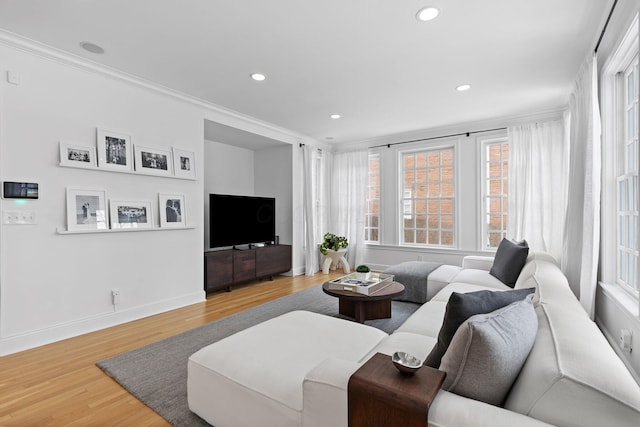 living room with crown molding and wood-type flooring