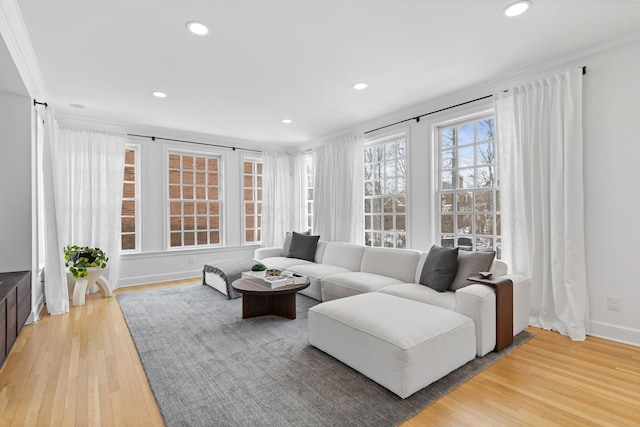 living room with crown molding and light wood-type flooring