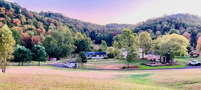 884 Rapp-Montgomery Rd Unit C627, Lucasville, OH 45648 - surrounding community with a yard and a wooded view